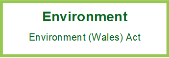 Link to webpage on on Environmental responsibilities - Environment (Wales) Act